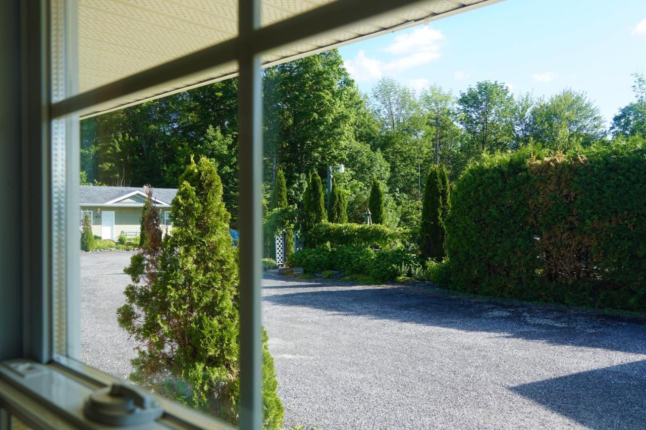 Motel Des Cedres Шербрук Экстерьер фото