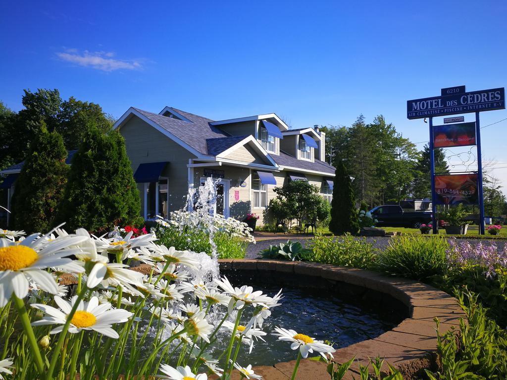 Motel Des Cedres Шербрук Экстерьер фото